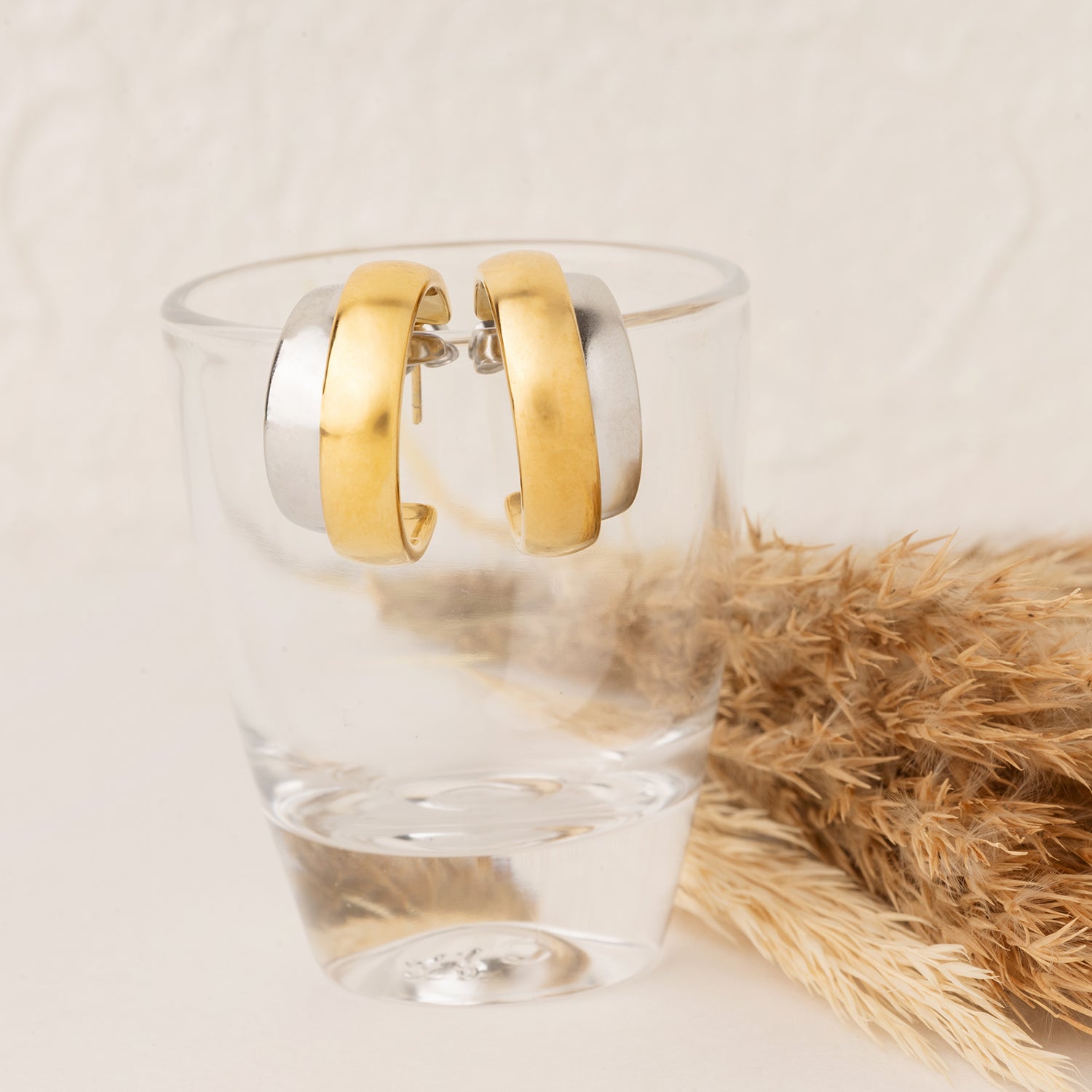Golden Duo Hoop Earrings